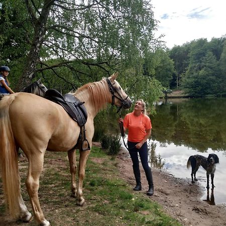 L'Echappee Verte - Gite Equestre 5 Pers Soucht Exterior photo