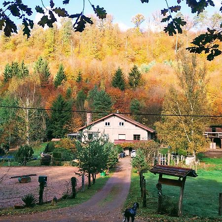 L'Echappee Verte - Gite Equestre 5 Pers Soucht Exterior photo