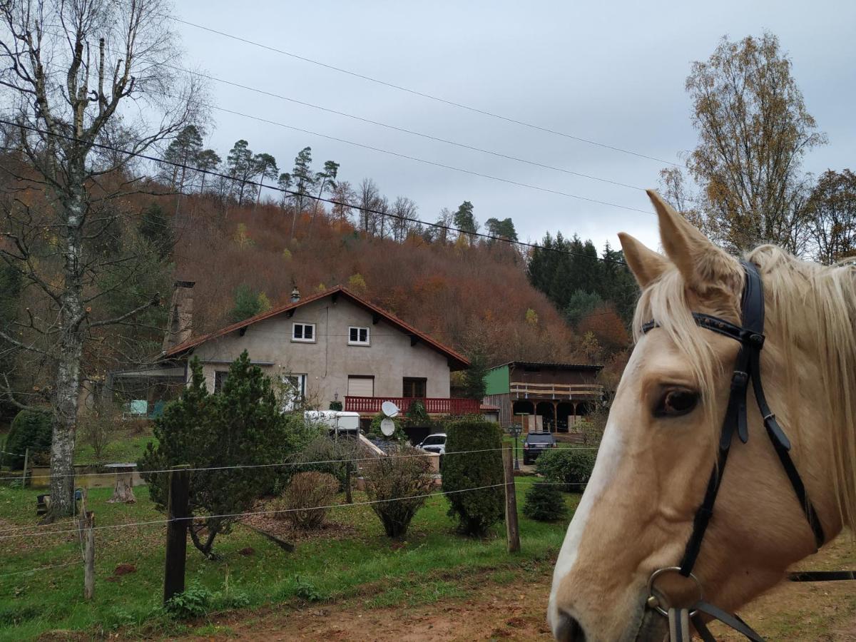 L'Echappee Verte - Gite Equestre 5 Pers Soucht Exterior photo