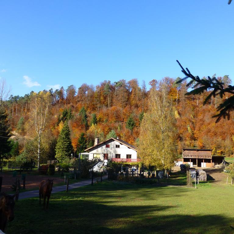 L'Echappee Verte - Gite Equestre 5 Pers Soucht Room photo