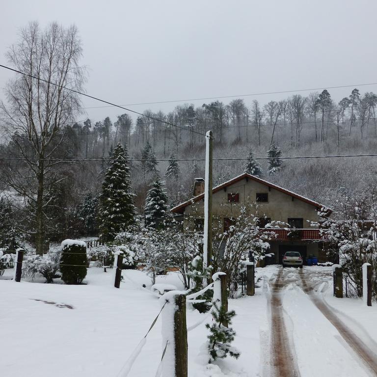 L'Echappee Verte - Gite Equestre 5 Pers Soucht Exterior photo