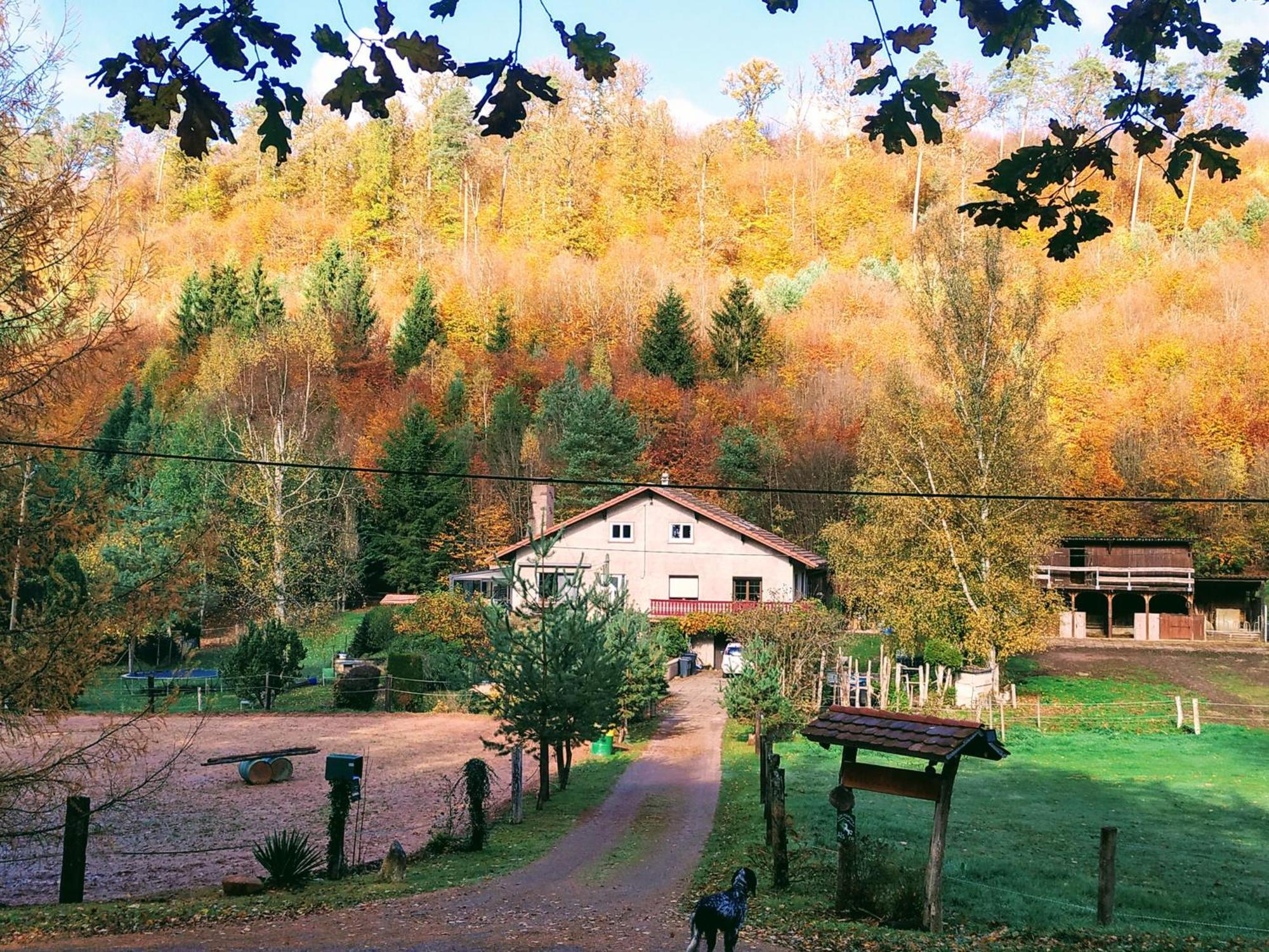 L'Echappee Verte - Gite Equestre 5 Pers Soucht Exterior photo
