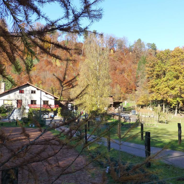 L'Echappee Verte - Gite Equestre 5 Pers Soucht Room photo