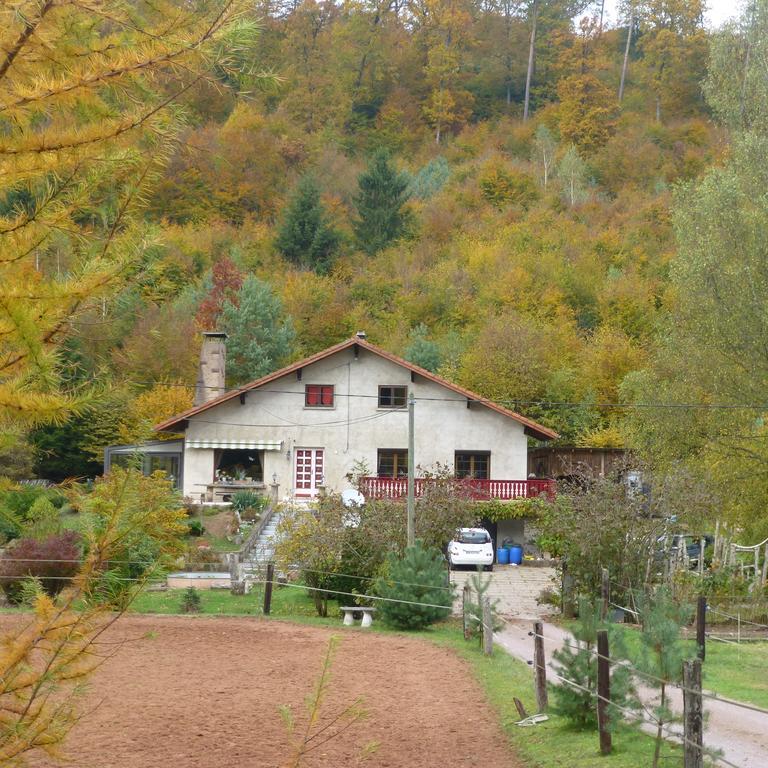 L'Echappee Verte - Gite Equestre 5 Pers Soucht Exterior photo