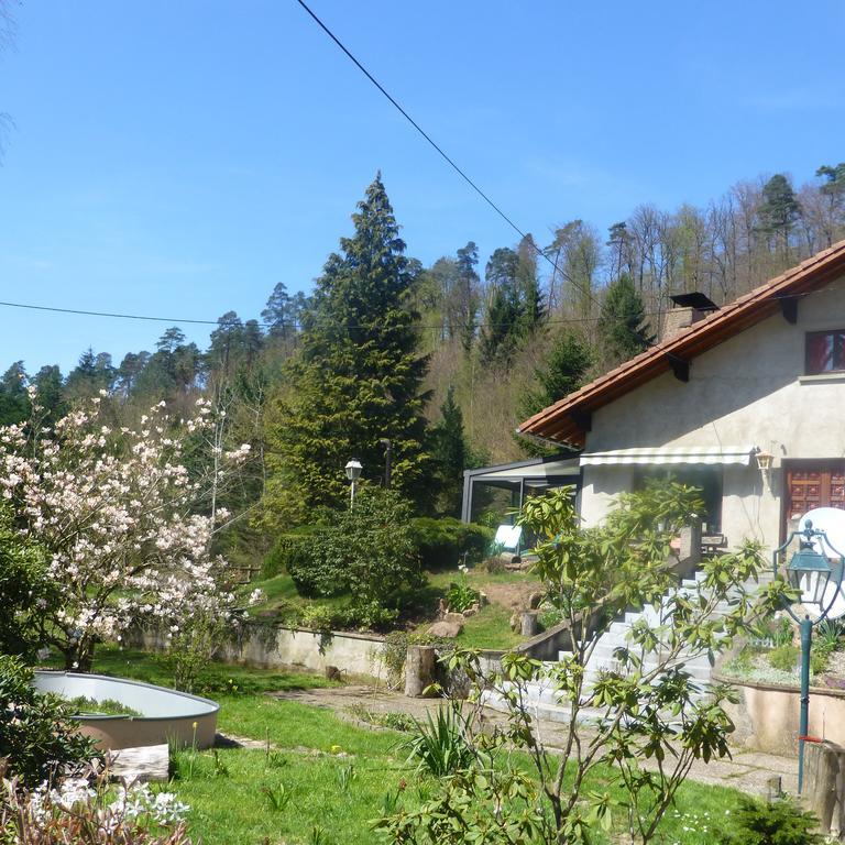 L'Echappee Verte - Gite Equestre 5 Pers Soucht Exterior photo