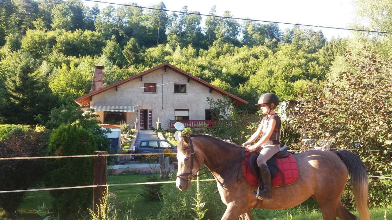 L'Echappee Verte - Gite Equestre 5 Pers Soucht Exterior photo