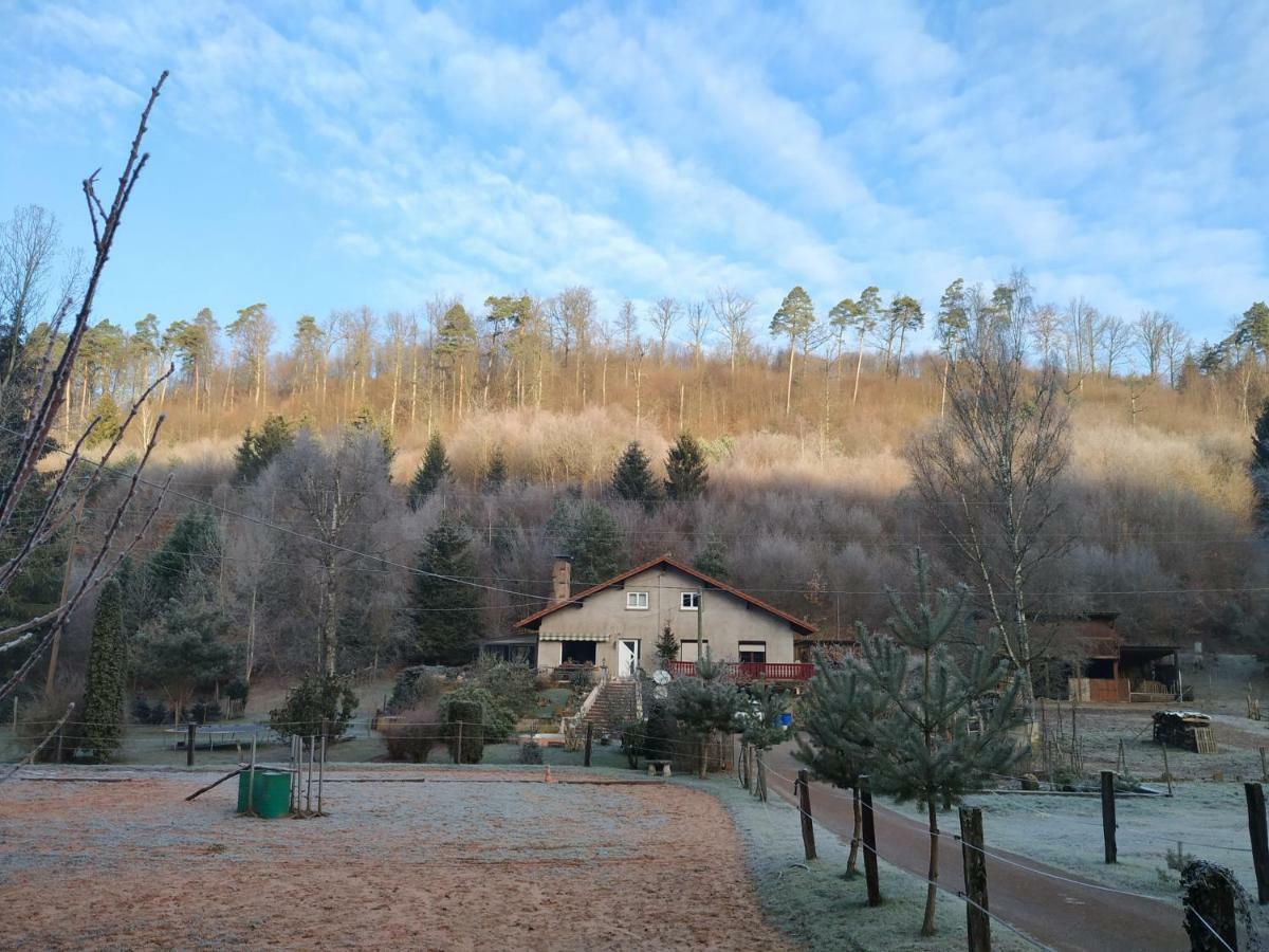 L'Echappee Verte - Gite Equestre 5 Pers Soucht Exterior photo