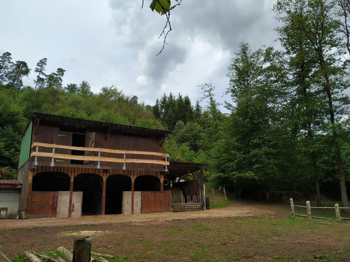L'Echappee Verte - Gite Equestre 5 Pers Soucht Exterior photo